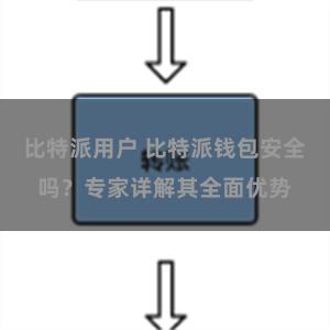 比特派用户 比特派钱包安全吗？专家详解其全面优势