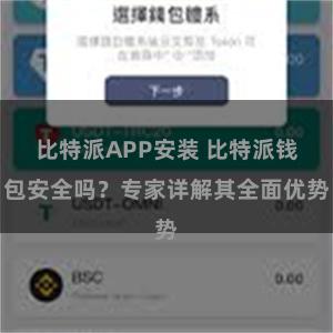 比特派APP安装 比特派钱包安全吗？专家详解其全面优势