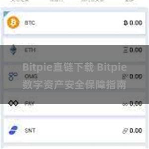 Bitpie直链下载 Bitpie数字资产安全保障指南