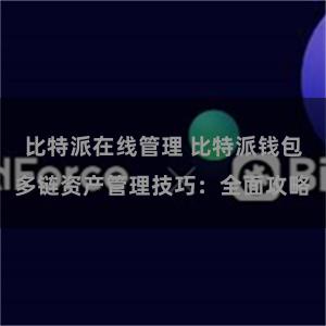 比特派在线管理 比特派钱包多链资产管理技巧：全面攻略