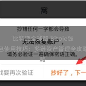 比特派全球版 Bitpie钱包使用技巧：多链资产管理全攻略