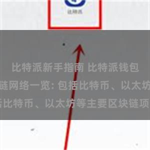 比特派新手指南 比特派钱包支持的区块链网络一览: 包括比特币、以太坊等主要区块链项目