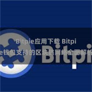 Bitpie应用下载 Bitpie钱包支持的区块链网络全面解析