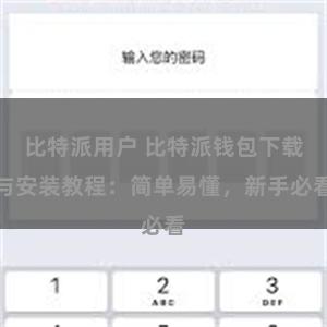 比特派用户 比特派钱包下载与安装教程：简单易懂，新手必看