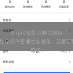 Bitpie轻量 比特派钱包：数字资产管理生态进化，无限可能！