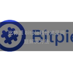 比特派 Bitpie钱包常见问题解决方法