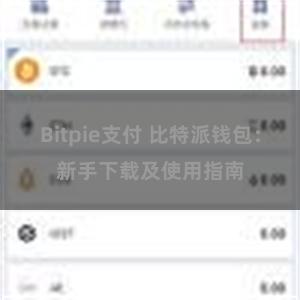 Bitpie支付 比特派钱包：新手下载及使用指南