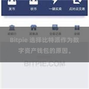 Bitpie 选择比特派作为数字资产钱包的原因。