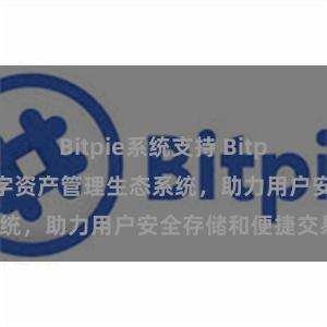 Bitpie系统支持 Bitpie钱包：打造数字资产管理生态系统，助力用户安全存储和便捷交易。