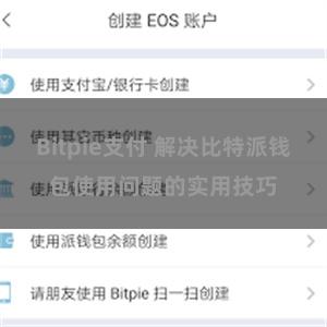 Bitpie支付 解决比特派钱包使用问题的实用技巧