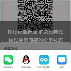 Bitpie最新版 解决比特派钱包使用问题的实用技巧