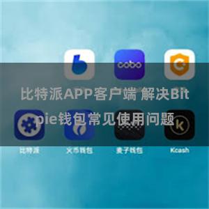 比特派APP客户端 解决Bitpie钱包常见使用问题