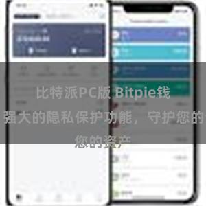 比特派PC版 Bitpie钱包：强大的隐私保护功能，守护您的资产