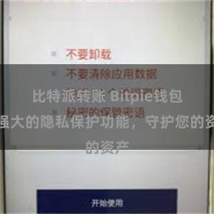 比特派转账 Bitpie钱包：强大的隐私保护功能，守护您的资产