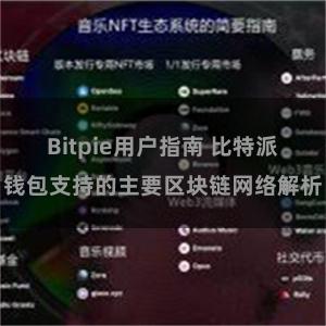 Bitpie用户指南 比特派钱包支持的主要区块链网络解析