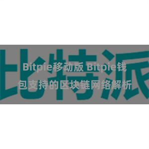 Bitpie移动版 Bitpie钱包支持的区块链网络解析