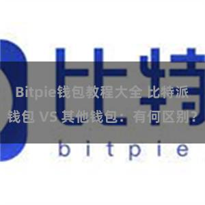 Bitpie钱包教程大全 比特派钱包 VS 其他钱包：有何区别？