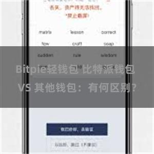 Bitpie轻钱包 比特派钱包 VS 其他钱包：有何区别？