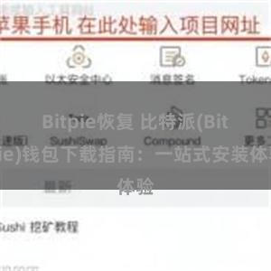 Bitpie恢复 比特派(Bitpie)钱包下载指南：一站式安装体验