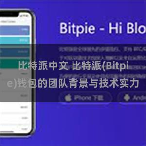 比特派中文 比特派(Bitpie)钱包的团队背景与技术实力