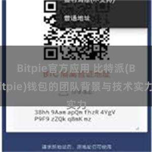 Bitpie官方应用 比特派(Bitpie)钱包的团队背景与技术实力