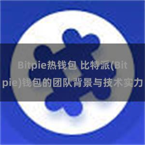 Bitpie热钱包 比特派(Bitpie)钱包的团队背景与技术实力