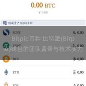 Bitpie币种 比特派(Bitpie)钱包的团队背景与技术实力