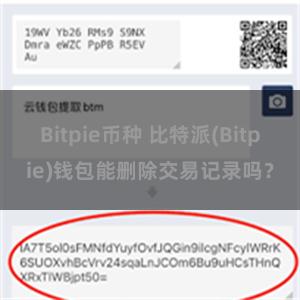 Bitpie币种 比特派(Bitpie)钱包能删除交易记录吗？