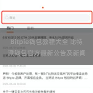 Bitpie钱包教程大全 比特派钱包官方最新公告及新闻