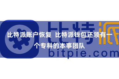 比特派账户恢复  比特派钱包还领有一个专科的本事团队