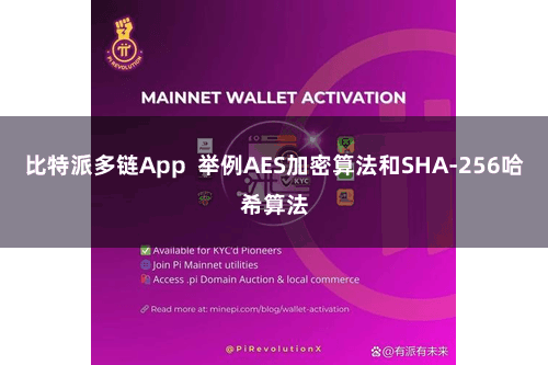 比特派多链App  举例AES加密算法和SHA-256哈希算法