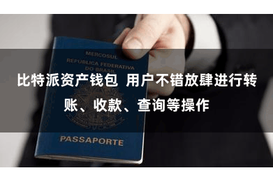比特派资产钱包  用户不错放肆进行转账、收款、查询等操作